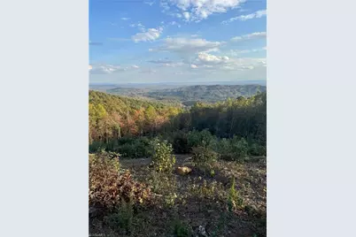 48 Cane Creek Church Road, McGrady, NC 28649 - Photo 6