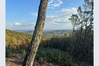 48 Cane Creek Church Road, McGrady, NC 28649 - Photo 8