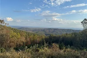 48 Cane Creek Church Rd, McGrady, NC 28649 - Photo 1