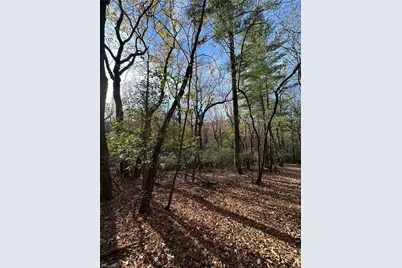 Tbd Courtland Lane, Lowgap, NC 27024 - Photo 10