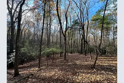 Tbd Courtland Lane, Lowgap, NC 27024 - Photo 4