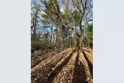 Tbd Courtland Lane, Lowgap, NC 27024 - Photo 8