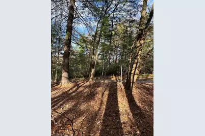 Tbd Courtland Lane, Lowgap, NC 27024 - Photo 6