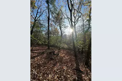 Tbd Courtland Lane, Lowgap, NC 27024 - Photo 18