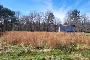 3325 Sylvatus Hwy, Hillsville, VA 24343 - Photo 30