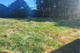 3325 Sylvatus Hwy, Hillsville, VA 24343 - Photo 8