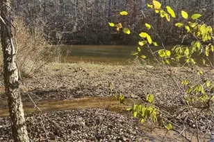 Portion Of 1790 Mallard Lakes Dr, Winston-Salem, NC 27106 - Photo 1