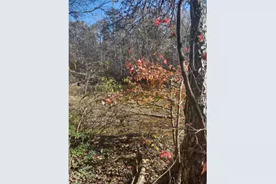 Portion Of 1790 Mallard Lakes Drive, Winston-Salem, NC 27106 - Photo 2