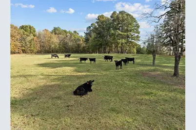 0-B US Highway 311, Archdale, NC 27263 - Photo 8