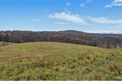 000 Austin Traphill Road, Traphill, NC 28685 - Photo 22