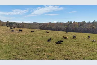 000 Austin Traphill Road, Traphill, NC 28685 - Photo 20