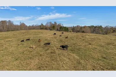 000 Austin Traphill Road, Traphill, NC 28685 - Photo 16