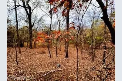 338 River Pines Trail, Clemmons, NC 27012 - Photo 6