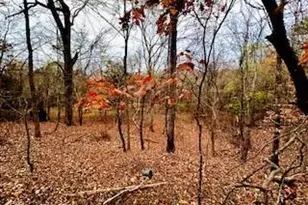 338 River Pines Trail, Clemmons, NC 27012 - Photo 6