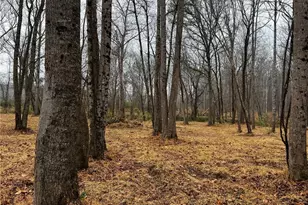 150A Lookout Dam Rd, Statesville, NC 28625 - Photo 24