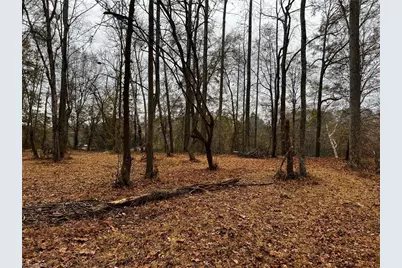 154A Lookout Dam Road, Statesville, NC 28625 - Photo 14