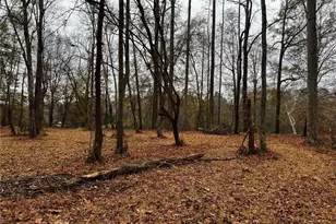 154A Lookout Dam Rd, Statesville, NC 28625 - Photo 14