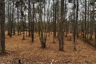 154A Lookout Dam Rd, Statesville, NC 28625 - Photo 12