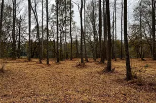 155A Lookout Dam Rd, Statesville, NC 28625 - Photo 20