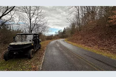 000 Tom Dula Road, Ferguson, NC 28624 - Photo 6