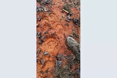 000 Tom Dula Road, Ferguson, NC 28624 - Photo 14