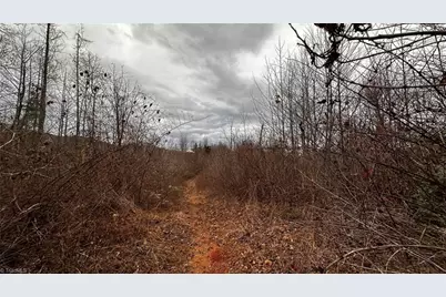 000 Tom Dula Road, Ferguson, NC 28624 - Photo 38