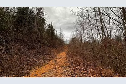 000 Tom Dula Road, Ferguson, NC 28624 - Photo 32