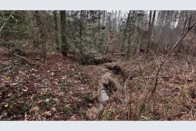 000 Tom Dula Road, Ferguson, NC 28624 - Photo 44