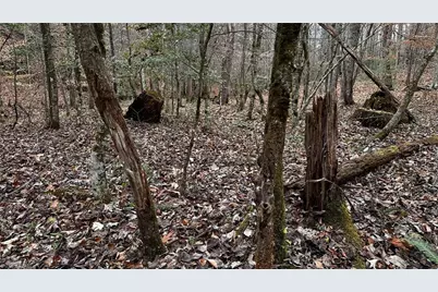 000 Tom Dula Road, Ferguson, NC 28624 - Photo 18