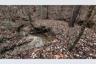 000 Tom Dula Road, Ferguson, NC 28624 - Photo 46