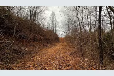 000 Tom Dula Road, Ferguson, NC 28624 - Photo 34