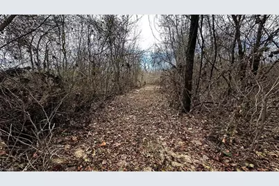 000 Tom Dula Road, Ferguson, NC 28624 - Photo 12