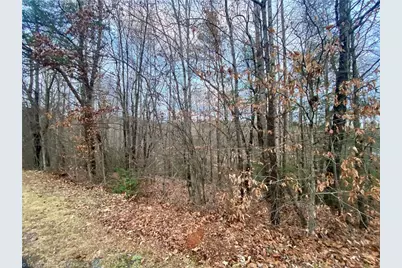 000 Autumn Place Lane, North Wilkesboro, NC 28659 - Photo 4