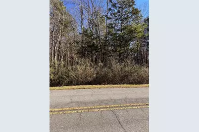 00 New Cut Road, Lexington, NC 27292 - Photo 4