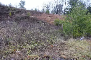 0 Andy Griffith Pkwy, Mount Airy, NC 27030 - Photo 2