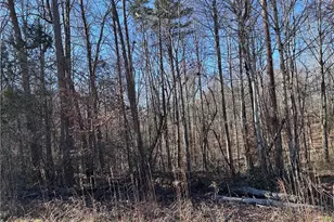 1080 S State St, Yadkinville, NC 27055 - Photo 1