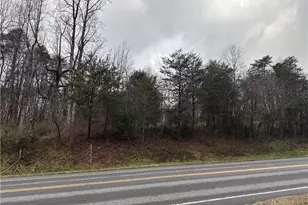 000 S State St, Yadkinville, NC 27055 - Photo 1