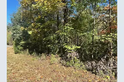 Lot 19 Longview Bluffs, Boomer, NC 28606 - Photo 8