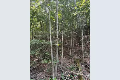 0 Rolling Hill Drive, Tobaccoville, NC 27050 - Photo 8