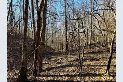 7766 Fip Newsome Road, Tobaccoville, NC 27050 - Photo 8