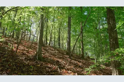 7766 Fip Newsome Road, Tobaccoville, NC 27050 - Photo 30