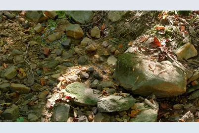 7766 Fip Newsome Road, Tobaccoville, NC 27050 - Photo 26