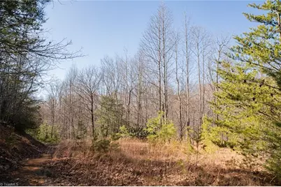 Lot 4 Green Point Lane, Boomer, NC 28606 - Photo 14