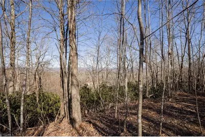 Lot 4 Green Point Lane, Boomer, NC 28606 - Photo 10