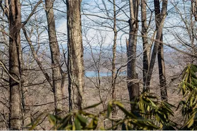 Lot 6 Green Point Lane, Boomer, NC 28606 - Photo 8