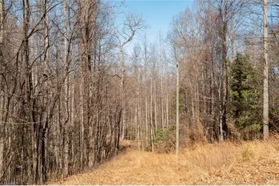 Lot 6 Green Point Lane, Boomer, NC 28606 - Photo 10