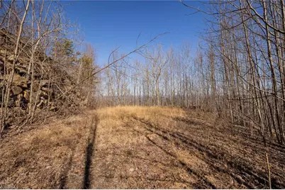 Lot 6 Green Point Lane, Boomer, NC 28606 - Photo 14