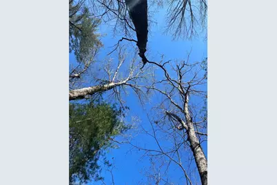 Lot 142,143,144,145 Claremont Drive, Elkin, NC 28621 - Photo 8