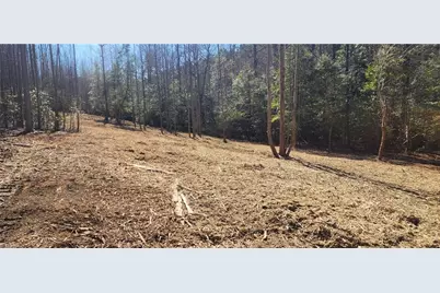 Lot 6 St Andrews Church Road, Sanford, NC 27332 - Photo 6