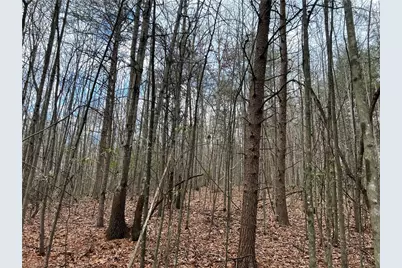 Lot 9 Fisher Valley Road, Dobson, NC 27017 - Photo 2